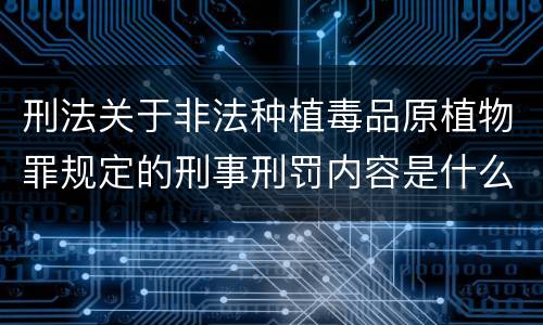 刑法关于非法种植毒品原植物罪规定的刑事刑罚内容是什么