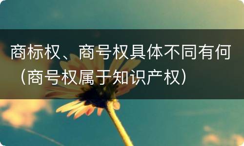 商标权、商号权具体不同有何（商号权属于知识产权）