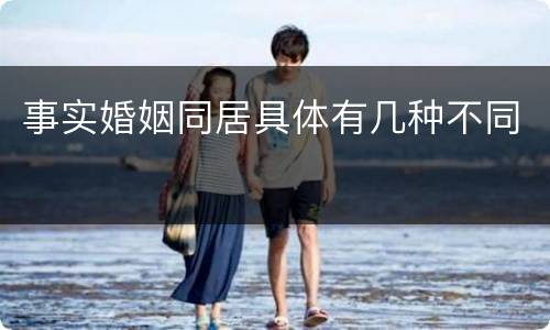 事实婚姻同居具体有几种不同