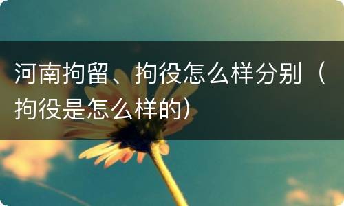 河南拘留、拘役怎么样分别（拘役是怎么样的）
