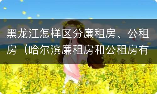 黑龙江怎样区分廉租房、公租房（哈尔滨廉租房和公租房有什么区别）