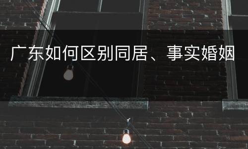 广东如何区别同居、事实婚姻