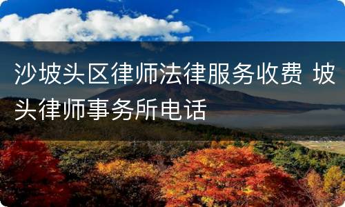 沙坡头区律师法律服务收费 坡头律师事务所电话