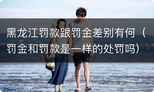 黑龙江罚款跟罚金差别有何（罚金和罚款是一样的处罚吗）