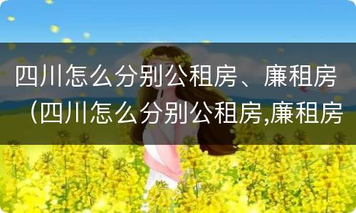 四川怎么分别公租房、廉租房（四川怎么分别公租房,廉租房和住宅）