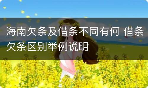 海南欠条及借条不同有何 借条欠条区别举例说明