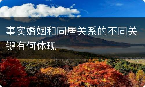 事实婚姻和同居关系的不同关键有何体现