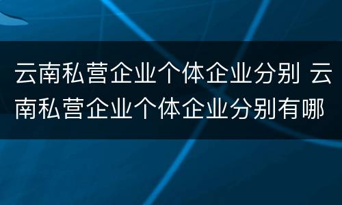 云南私营企业个体企业分别 云南私营企业个体企业分别有哪些