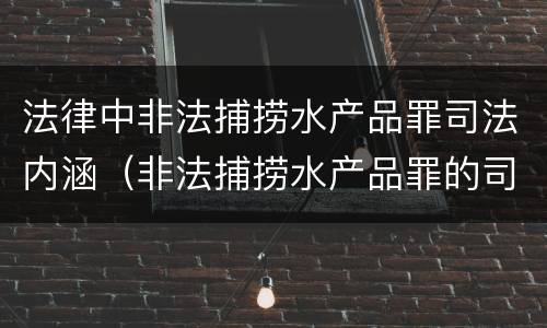 法律中非法捕捞水产品罪司法内涵（非法捕捞水产品罪的司法解释）