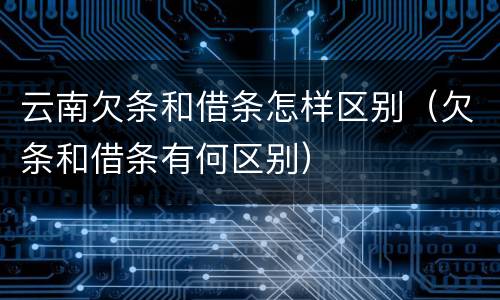 云南欠条和借条怎样区别（欠条和借条有何区别）
