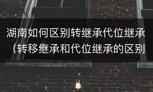 湖南如何区别转继承代位继承（转移继承和代位继承的区别）
