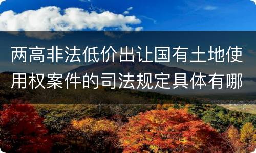 两高非法低价出让国有土地使用权案件的司法规定具体有哪些主要内容