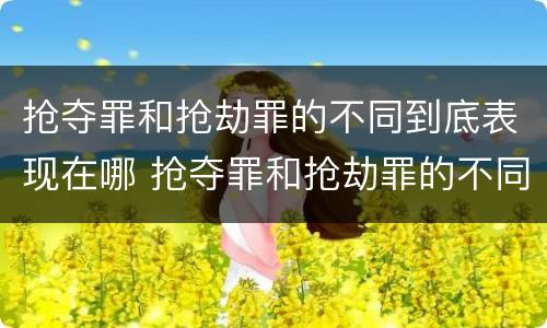 抢夺罪和抢劫罪的不同到底表现在哪 抢夺罪和抢劫罪的不同到底表现在哪些方面