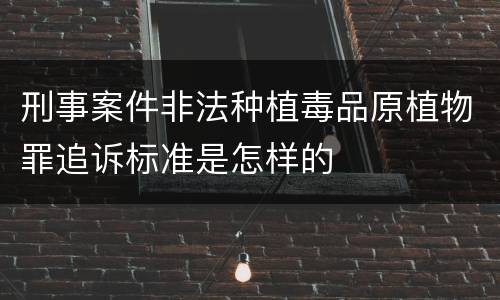 刑事案件非法种植毒品原植物罪追诉标准是怎样的