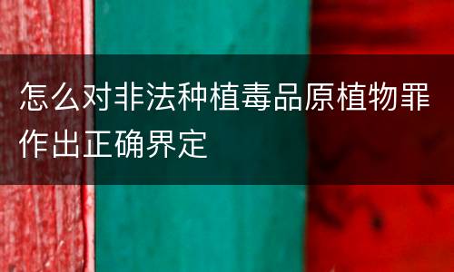 怎么对非法种植毒品原植物罪作出正确界定