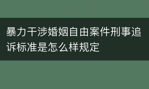 暴力干涉婚姻自由案件刑事追诉标准是怎么样规定