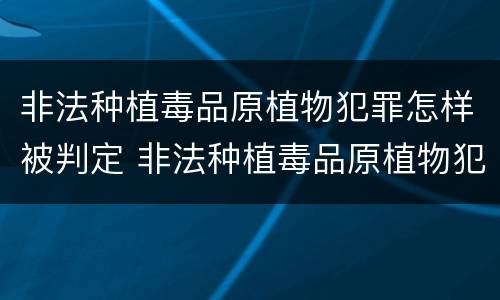 非法种植毒品原植物犯罪怎样被判定 非法种植毒品原植物犯罪怎样被判定的