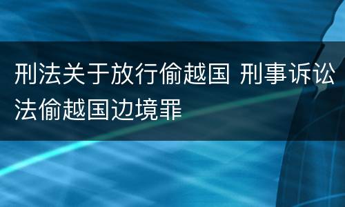 刑法关于放行偷越国 刑事诉讼法偷越国边境罪