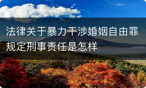 法律关于暴力干涉婚姻自由罪规定刑事责任是怎样
