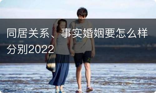 同居关系、事实婚姻要怎么样分别2022