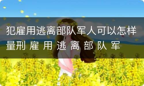 犯雇用逃离部队军人可以怎样量刑 雇 用 逃 离 部 队 军 人 罪