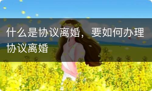 什么是协议离婚，要如何办理协议离婚