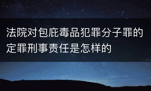法院对包庇毒品犯罪分子罪的定罪刑事责任是怎样的
