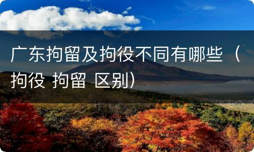 广东拘留及拘役不同有哪些（拘役 拘留 区别）