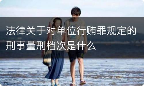 法律关于对单位行贿罪规定的刑事量刑档次是什么