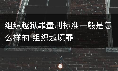 组织越狱罪量刑标准一般是怎么样的 组织越境罪