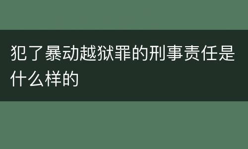 犯了暴动越狱罪的刑事责任是什么样的