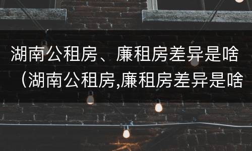 湖南公租房、廉租房差异是啥（湖南公租房,廉租房差异是啥原因）