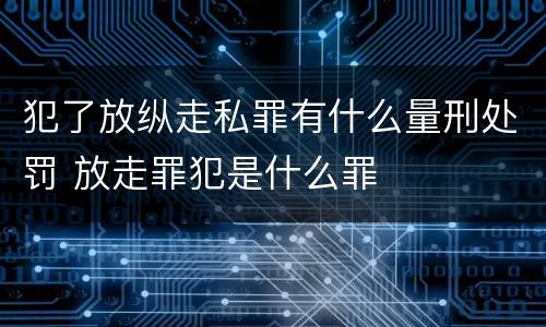 犯了放纵走私罪有什么量刑处罚 放走罪犯是什么罪