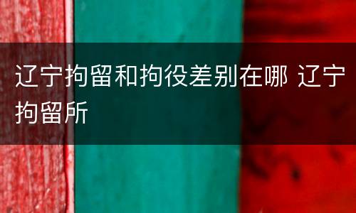 辽宁拘留和拘役差别在哪 辽宁拘留所