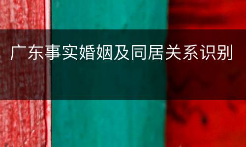 广东事实婚姻及同居关系识别