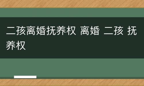 二孩离婚抚养权 离婚 二孩 抚养权