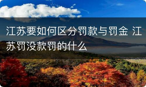 江苏要如何区分罚款与罚金 江苏罚没款罚的什么