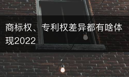 商标权、专利权差异都有啥体现2022