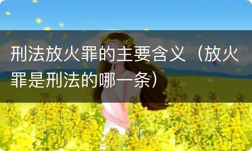 刑法放火罪的主要含义（放火罪是刑法的哪一条）