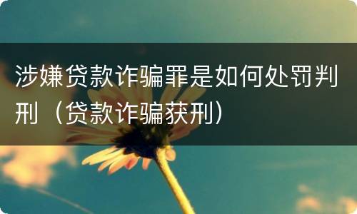 涉嫌贷款诈骗罪是如何处罚判刑（贷款诈骗获刑）