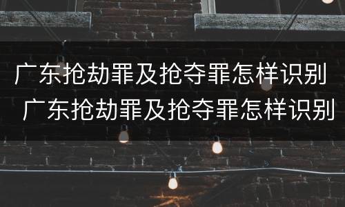 广东抢劫罪及抢夺罪怎样识别 广东抢劫罪及抢夺罪怎样识别判刑