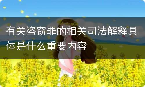 有关盗窃罪的相关司法解释具体是什么重要内容