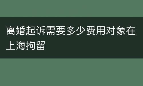 离婚起诉需要多少费用对象在上海拘留