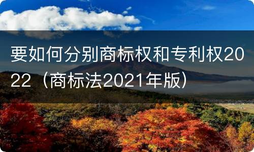 要如何分别商标权和专利权2022（商标法2021年版）