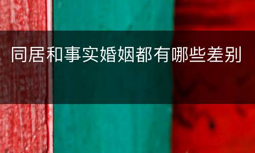同居和事实婚姻都有哪些差别