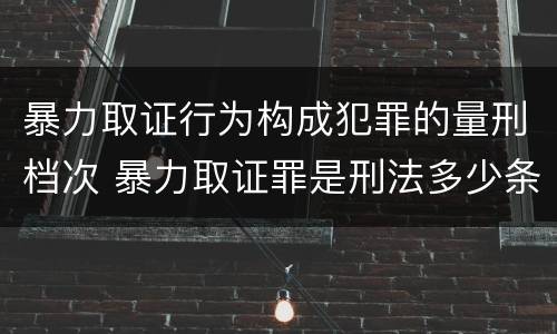 暴力取证行为构成犯罪的量刑档次 暴力取证罪是刑法多少条