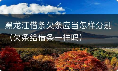 黑龙江借条欠条应当怎样分别（欠条给借条一样吗）