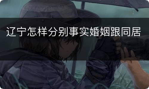 辽宁怎样分别事实婚姻跟同居