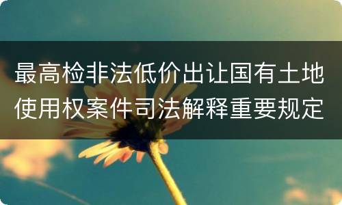 最高检非法低价出让国有土地使用权案件司法解释重要规定都有哪些
