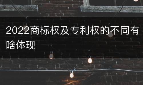 2022商标权及专利权的不同有啥体现